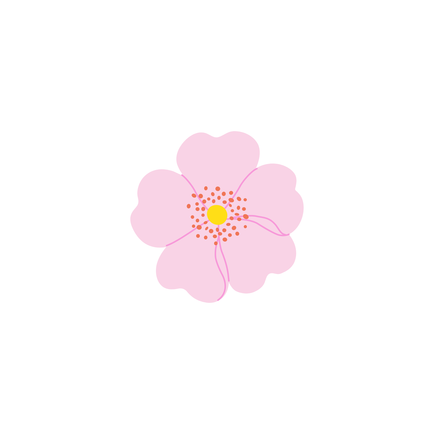 Higiene Femenina