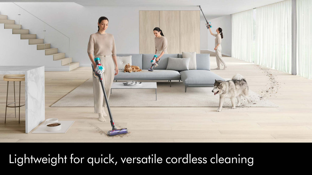 Dyson V8 Absolute Vacuum | Original (Reacondicionado)