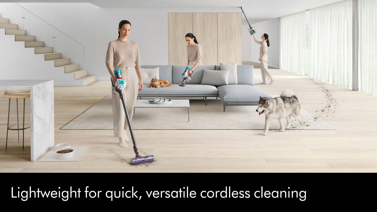 Dyson V8 Absolute Vacuum | Original (Reacondicionado)