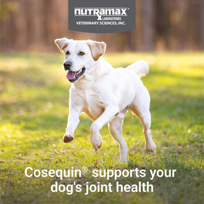 Nutramax Cosequin