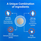Nutramax Cosequin