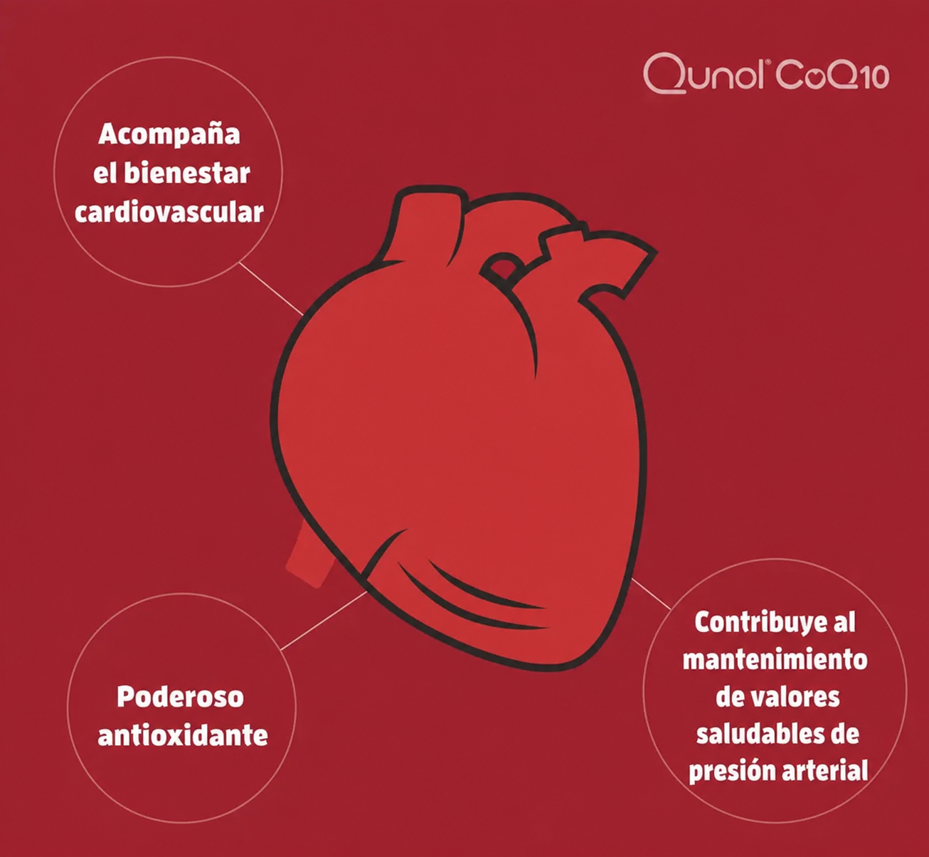 QUNOL MEGA COQ10 UBIQUINOL 100 MG — 120 CÁPSULAS BLANDAS